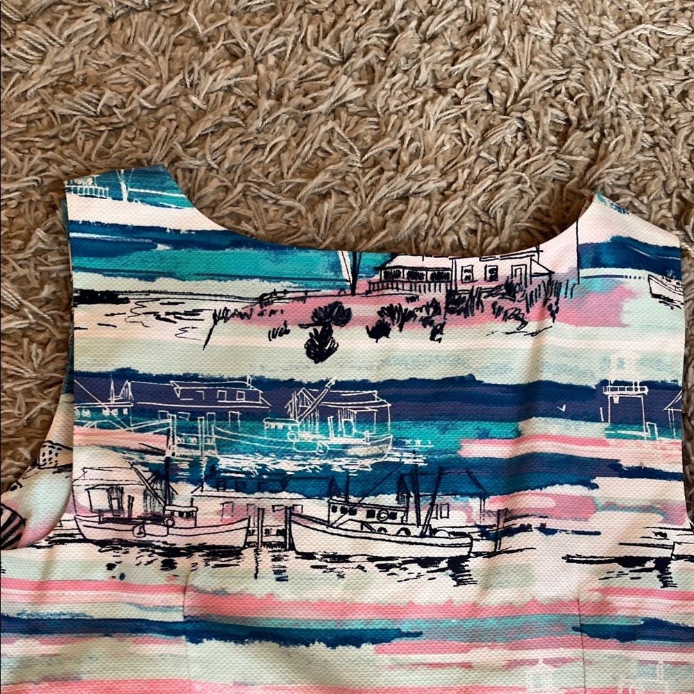 Talbots Striped Seaside Print Dress - Pink & Blue - Size 12 - Picture 10 of 11